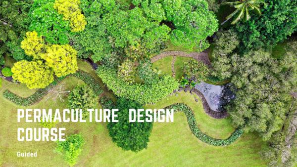 Master Permaculture: 72-Hour PDC Starts March 16, 2026